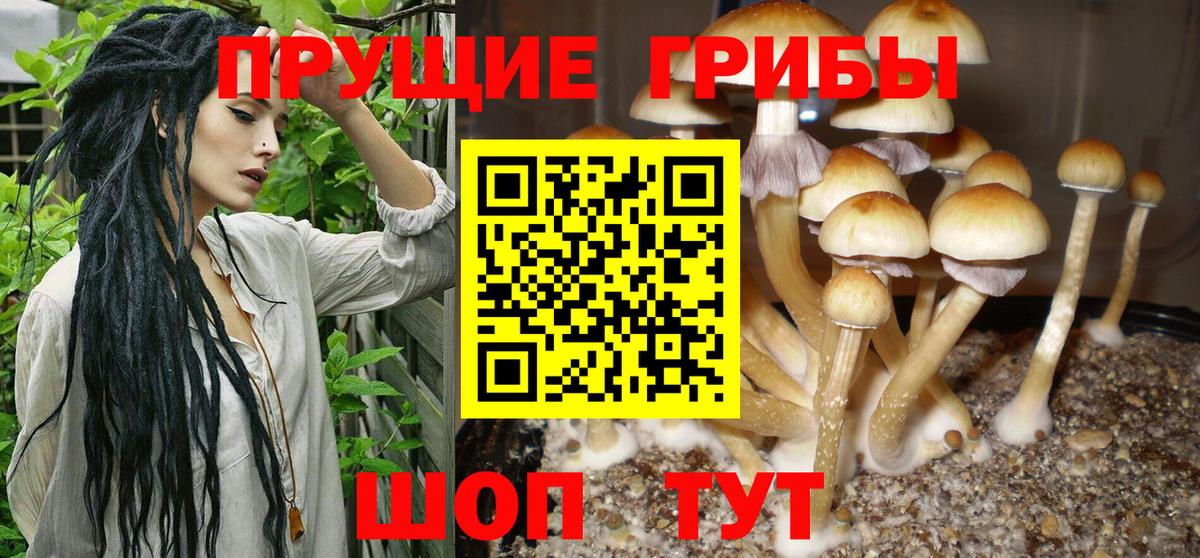 Псилоцибиновые грибы мухоморы  Вход с VPN  Галлюциногенные грибы MAGIC MUSHROOMS  Богородицк 